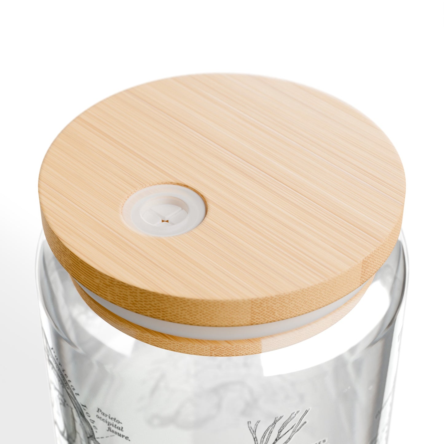 Neuro Anatomy 16 oz. Glass with Bamboo Lid