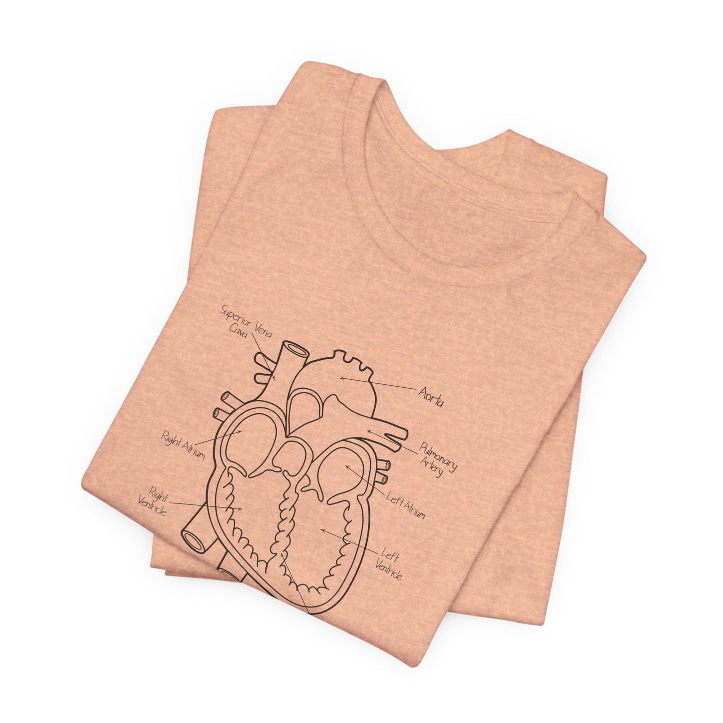 Heart Anatomy T-Shirt