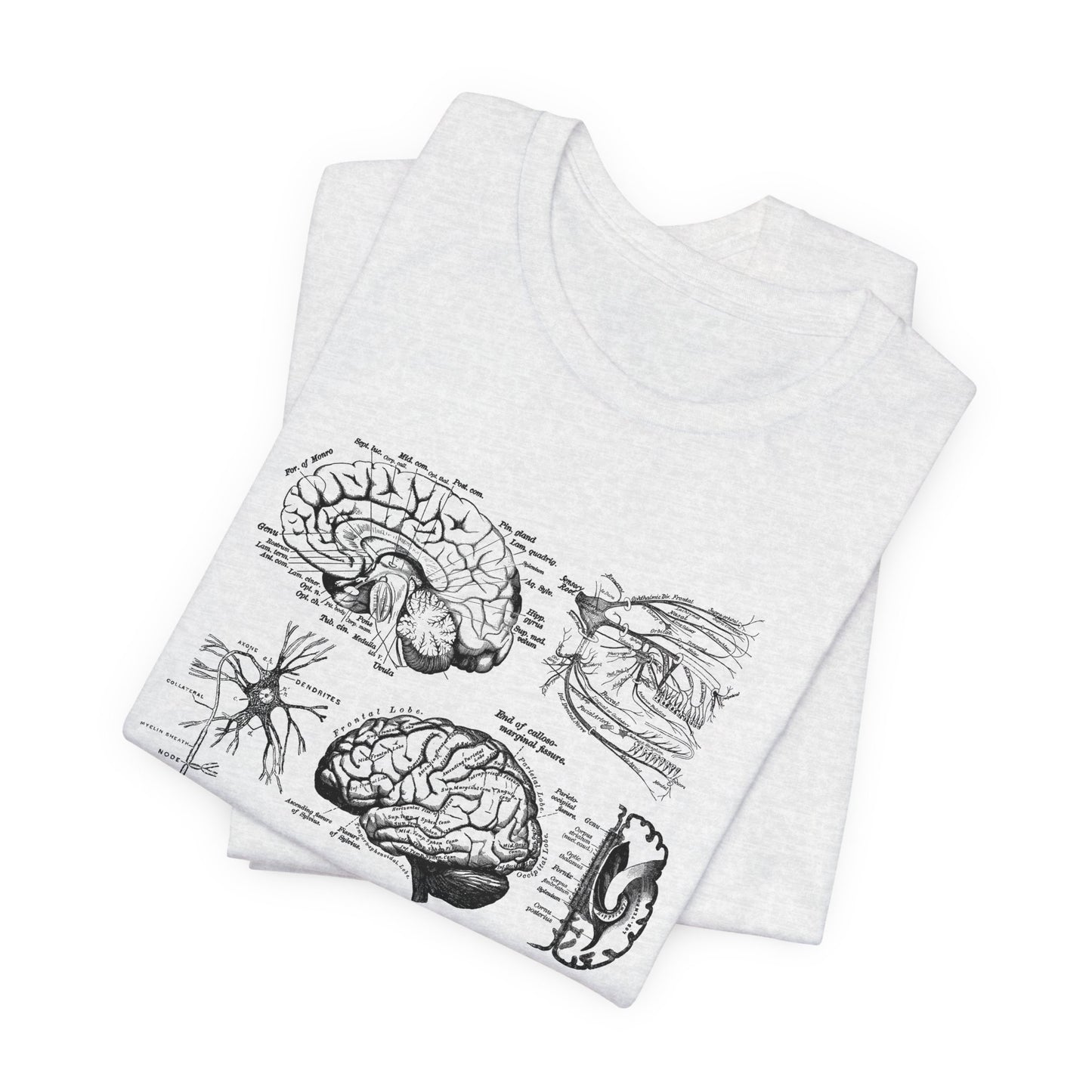 Neuro Anatomy T-Shirt