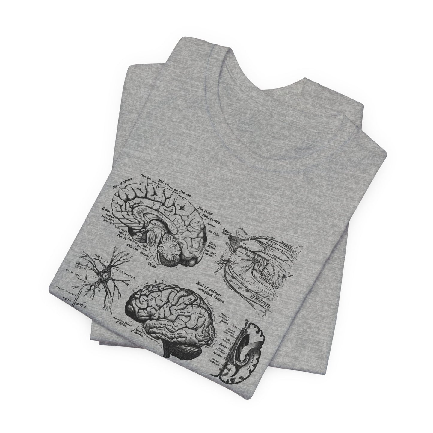 Neuro Anatomy T-Shirt