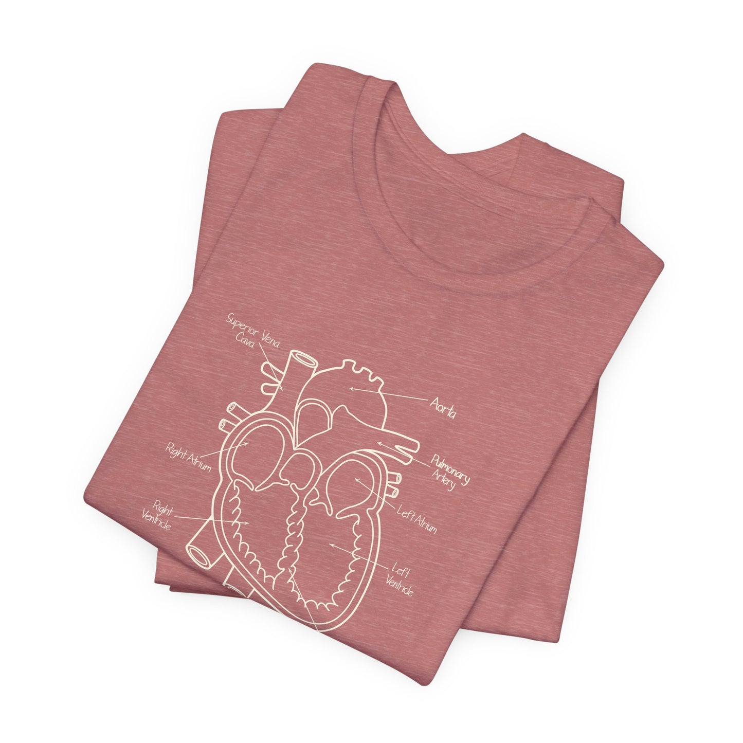 Heart Anatomy T-Shirt