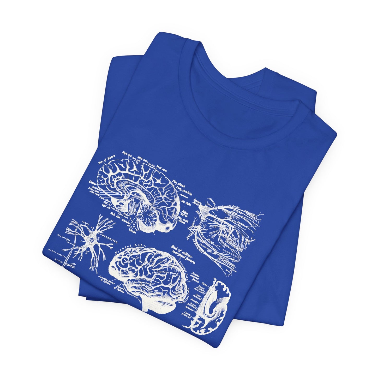 Neuro Anatomy T-Shirt