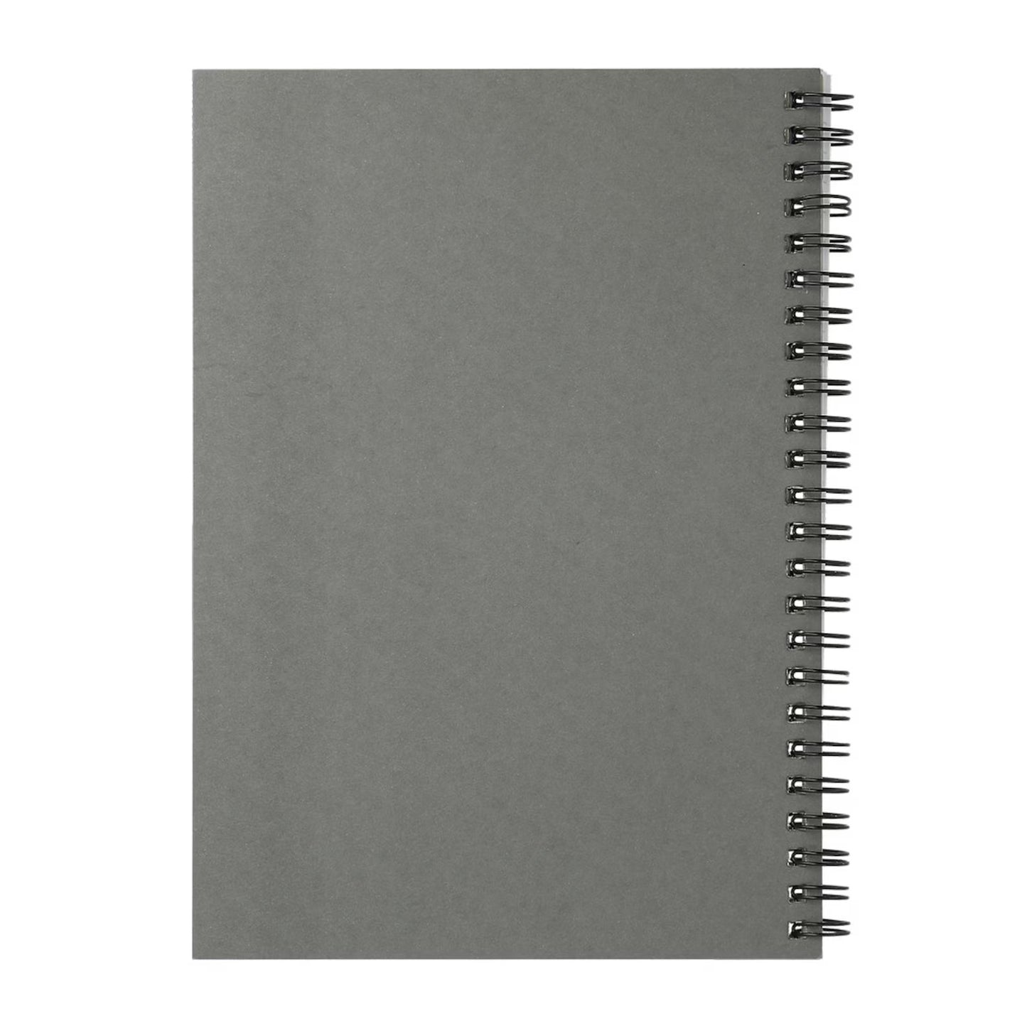 Stuff Aorta Know Spiral Notebook