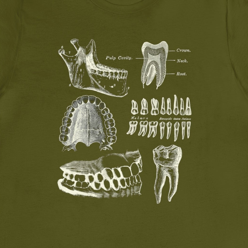 Dental Anatomy T-Shirt