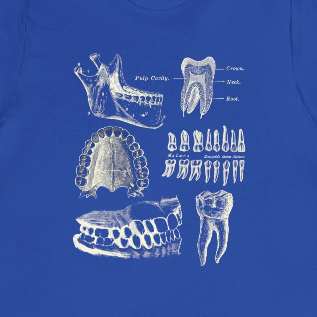 Dental Anatomy T-Shirt