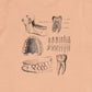 Dental Anatomy T-Shirt