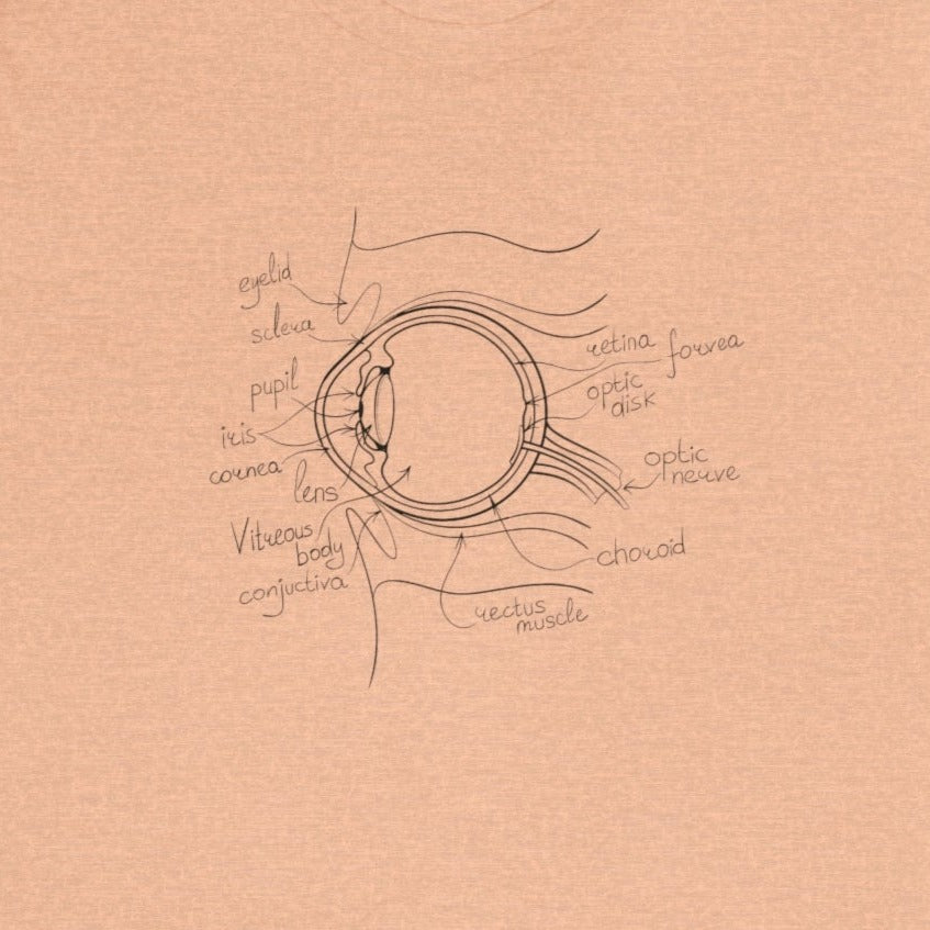 Eye Anatomy T-Shirt