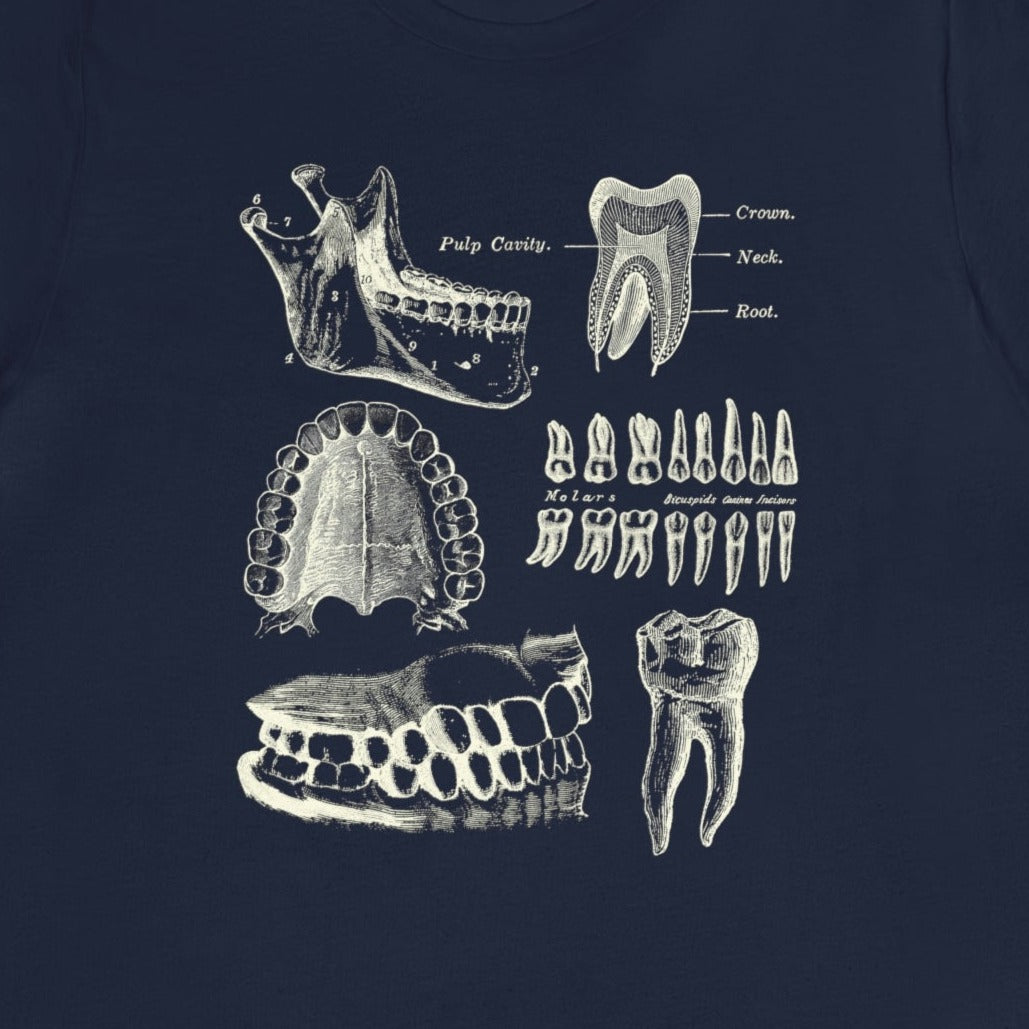 Dental Anatomy T-Shirt Navy / S