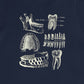 Dental Anatomy T-Shirt